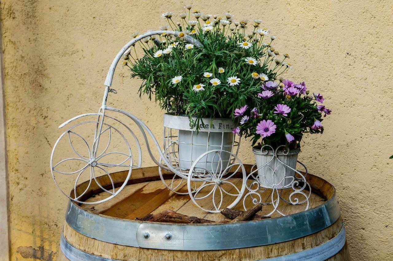 Bed and Breakfast Casale del Sole Garda Monzambano Exterior foto